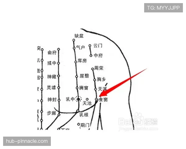 篮球中线规则解析：比赛中线的作用与常见违例判定