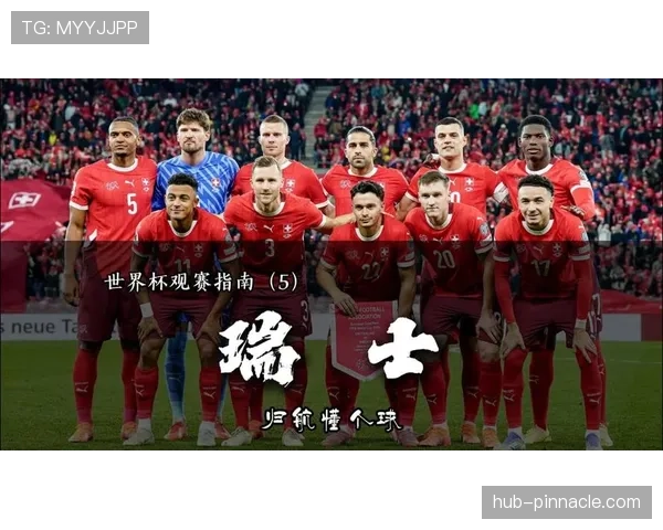 瑞士队世界杯前景预测出炉