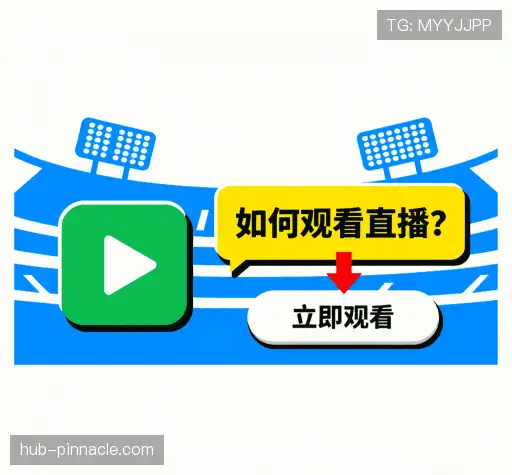 用户常见疑问