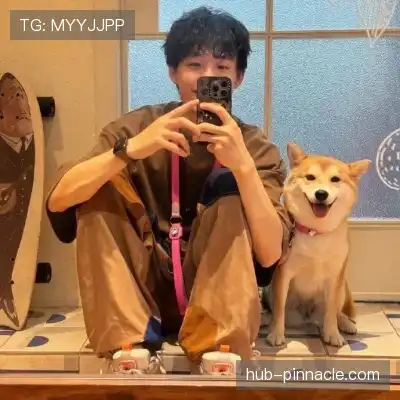 赵鸽